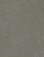 a8893b9c2dfdf8719701e0457f6195a3