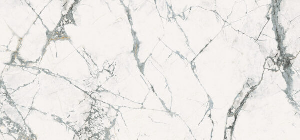 336af210047d90a8d23116ec5efc8624