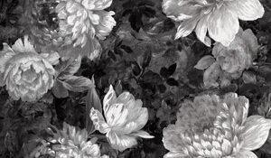 72743c25bfea40686d84fb2a61909036