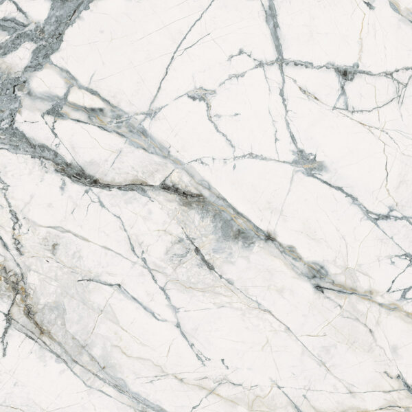 a060114afbf24e11c84a3f736b032795