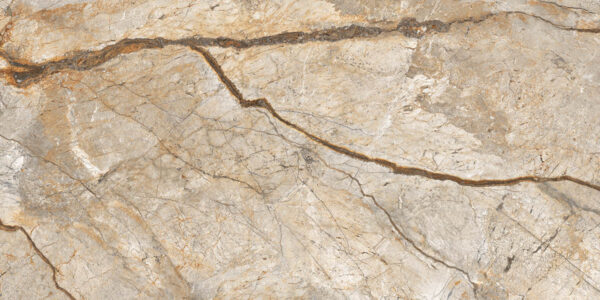 2029a95cc753adb77f6e4d1ce4804523