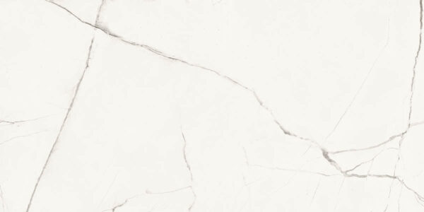 705d523ff2a228e37cfd7d0ebe08b221