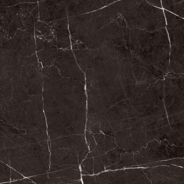 95ff8ed72d6088d67fee42b5676fc2e6