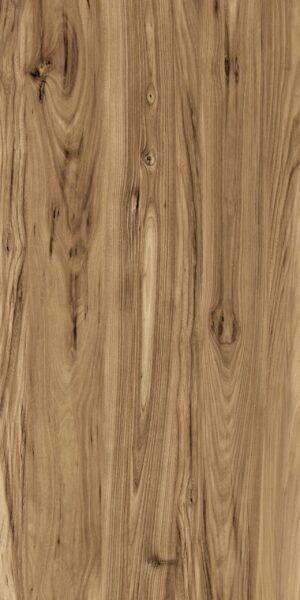 510dd7083715ae592c21b5020453e05b