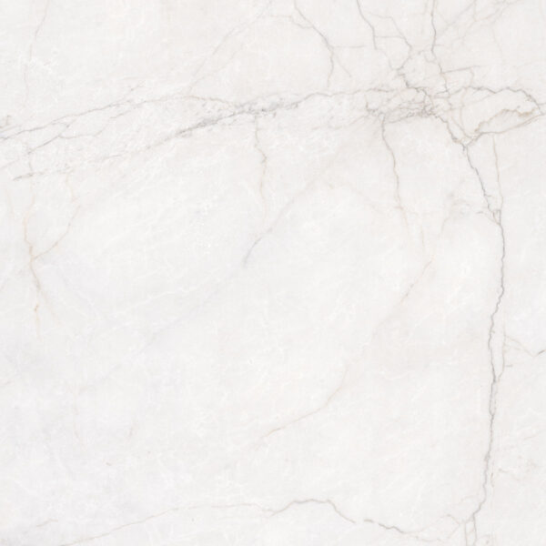 91e6744c6f05765a3dc6ed1ec61082f5