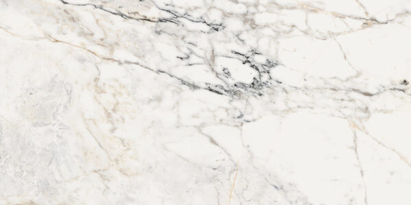 e4c2c4578abdfef0ebad788a741ca8bc